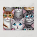 Recherche de animaux de durer cartes postales Chaton