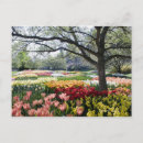 Recherche de nouvelle vie cartes postales Horizontal