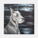 Recherche de grands danois magnets Chien