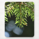 Recherche de arbre sapin tapis souris Vert
