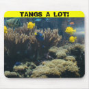 Recherche de habitat tapis souris Mer