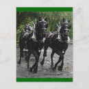 Recherche de cheval de trait belge cartes postales Clydesdale