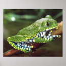 Zoek naar groot oog posters Kleurrijk