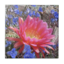 Recherche de soucoupe carreaux Fleurs