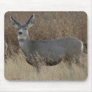 Recherche de biche tapis souris Cerf