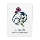 Recherche de cancers magnets Zodiaque