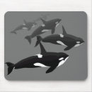 Recherche de tueur tapis souris Baleine