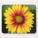 Recherche de rayon soleil tapis souris Orange