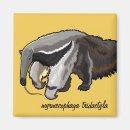 Recherche de fourmi magnets Animal