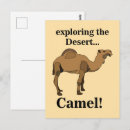 Zoek naar grappige kamelen posters For her