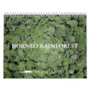Recherche de jungles bureau fournitures Forêts