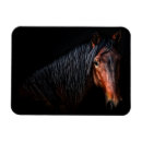 Recherche de portrait de cheval magnets Chevaux