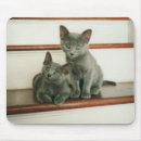 Recherche de russe bleu tapis souris Mignon