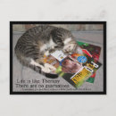 Recherche de secouru cartes postales Chaton