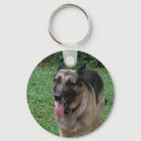 Recherche de domestiqué porteclés Chien