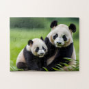 Recherche de panda puzzles Animal