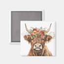 Recherche de bovin magnets Animal