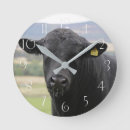 Recherche de boeuf horloges Élevage