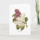 Zoek naar bloemen druk kaarten Vintage