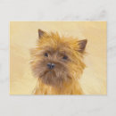 Recherche de de terrier de cairn cartes postales Mignon