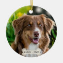 Zoek naar herdershond ornamenten Schattig