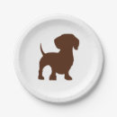 Zoek naar dachshund borden Hond