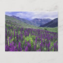 Recherche de boucle d cartes postales Nature