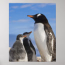 Recherche de habitats posters Mer