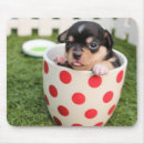 Recherche de petits chiens tapis souris Chiot
