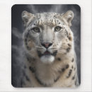 Recherche de cougar tapis souris Faune