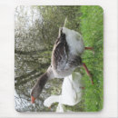 Recherche de outdoor tapis souris Nature