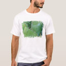 Recherche de agave tshirts Flore