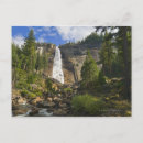 Recherche de scène tranquille cartes postales Arbre