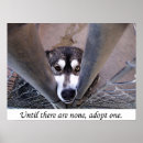 Recherche de adoptez posters Chien