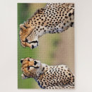 Recherche de grands chats puzzles Nature