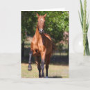 Zoek naar bob kaarten Staande