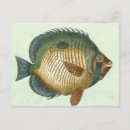 Recherche de poissons colorés cartes postales Mer