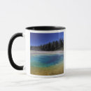 Recherche de source tasses Geyser