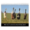 Recherche de courant bureau fournitures Nature
