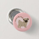 Recherche de chien domestique badges Chiens