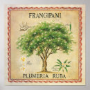 Recherche de botanique vintage art Arbre