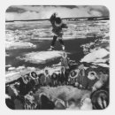 Recherche de arctique autocollants Alaska