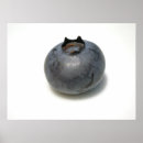 Zoek naar blauwe bessen posters Fruit