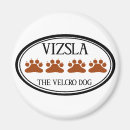 Zoek naar vizsla magneten Puppy