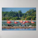 Recherche de rio posters Amérique latine