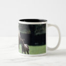 Recherche de jument tasses Nature
