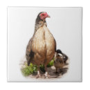 Recherche de poulet vintage carreaux Rétro
