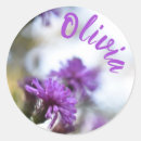 Recherche de le jardin photographie Été