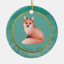 Zoek naar baby vos ornamenten Kerstmis