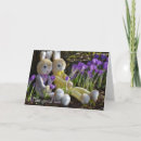 Recherche de deux lapins vœux cartes Salutation